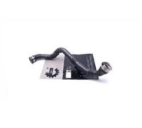 Tubo de aire izquierda 54SKV229 ESEN SKV para NISSAN RENAULT