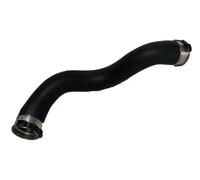 Tubo de aire izquierda 81851 BUGIAD para MERCEDES-BENZ CLASE B Sports Tourer