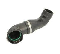 Manguera de aire de carga THERMOTEC DCB066TT