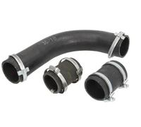 Manguera de aire de carga THERMOTEC DCG184TT