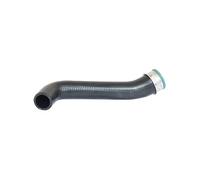 Bugiad 82649 Tubo Admisión Inferior para Skoda Octavia I Seat Leon Audi A3 VW