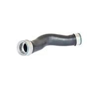 Original BUGIAD Manguera De Intercooler 87604 Para VW