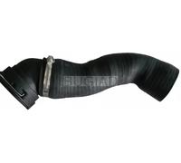 BUGIAD 84625 Tubo flexible de aire de sobrealimentación