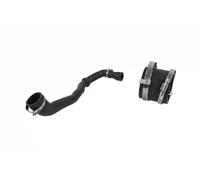 SASIC Manguito de turbocompresor para FORD: Mondeo (Ref: 3336212)