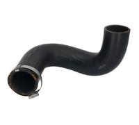 Manguera de aire de carga THERMOTEC DCC060TT