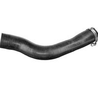 Tubo de aire Silicona BTH1663 BORG & BECK para LAND ROVER RANGE ROVER III