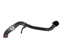 METZGER Manguito de turbocompresor para PEUGEOT: Boxer & CITROËN: Jumper (Ref: 2401200)