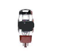 Tubo de audio KT66 de 1/2/4 piezas(2PCS)