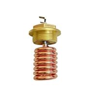 Tubo De Calor Eléctrico De Repuesto De 220 V, 1200 W Y 2000 W, Compatible Con Rocket, R58 V3 Y Cafeteras Espresso.(220V 2000W)