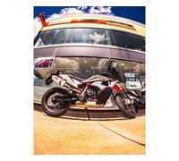Tubo de Escape GPR Albus Evo4 Aprobado Husqvarna Norden 901 2022 2023