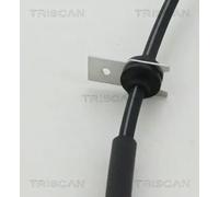 Triscan A/S Latiguillo de freno para FORD: Focus (Ref: 8150 16320)