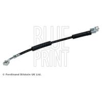 Tubo de freno flexible Eje delantero, derecha ADA105310 BLUE PRINT para JEEP