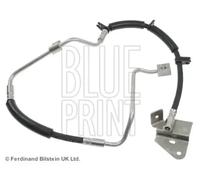 Tubo de freno flexible Eje delantero, derecha ADA105316 BLUE PRINT para JEEP