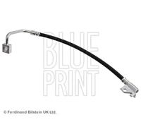 Tubo de freno flexible Eje delantero, derecha ADA105320 BLUE PRINT para JEEP