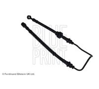 Tubo de freno flexible Eje delantero, derecha ADG053120 BLUE PRINT para KIA