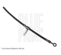 Tubo de freno flexible Eje delantero, derecha ADG053132 BLUE PRINT para HYUNDAI