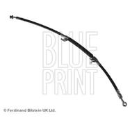 Tubo de freno flexible Eje delantero, derecha ADG053166 BLUE PRINT para KIA