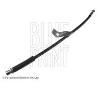 Tubo de freno flexible Eje delantero, derecha ADG053236 BLUE PRINT para OPEL