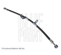 Tubo de freno flexible Eje delantero, derecha ADG053261 BLUE PRINT para KIA