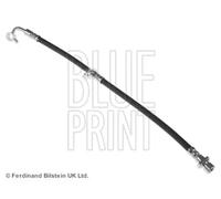 Tubo de freno flexible Eje delantero, derecha ADH253191 BLUE PRINT para HONDA