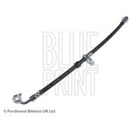 Tubo de freno flexible Eje delantero, derecha ADH25376 BLUE PRINT para HONDA