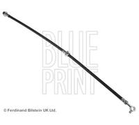 Tubo de freno flexible Eje delantero, derecha ADN153174 BLUE PRINT para NISSAN