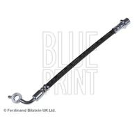Tubo de freno flexible Eje delantero, derecha ADT353172 BLUE PRINT para TOYOTA