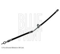 BLUE PRINT ADT353361 Latiguillo de freno