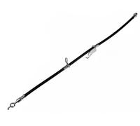 Tubo de freno flexible Eje delantero, derecha ADT353376 BLUE PRINT para TOYOTA
