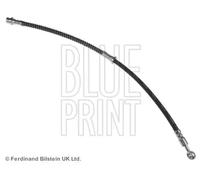 Tubo de freno flexible Eje delantero, izquierda ADC45373 BLUE PRINT