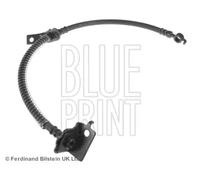 Tubo de freno flexible Eje delantero, izquierda ADG053147 BLUE PRINT para KIA