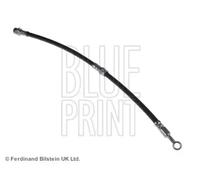 Tubo de freno flexible Eje delantero, izquierda ADG05389 BLUE PRINT para KIA
