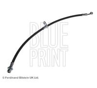 Tubo de freno flexible Eje delantero, izquierda ADH253143 BLUE PRINT para HONDA