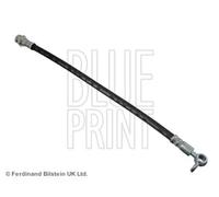 Tubo de freno flexible Eje delantero, izquierda ADM553108 BLUE PRINT para MAZDA
