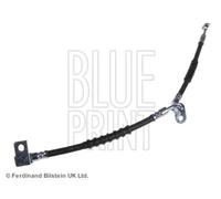 Tubo de freno flexible Eje delantero, izquierda ADM55379 BLUE PRINT para MAZDA