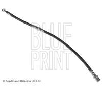 Tubo de freno flexible Eje delantero, izquierda ADS75316 BLUE PRINT para SUBARU