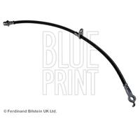 Tubo de freno flexible Eje delantero, izquierda ADT353161 BLUE PRINT para TOYOTA