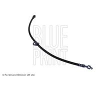 Tubo de freno flexible Eje delantero, izquierda ADT353230 BLUE PRINT para TOYOTA