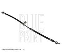 Tubo de freno flexible Eje delantero, izquierda ADT353360 BLUE PRINT para TOYOTA