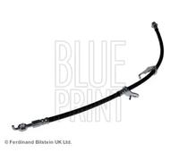 Tubo de freno flexible Eje delantero, izquierda ADT353391 BLUE PRINT para TOYOTA