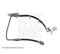 Tubo de freno flexible Eje trasero, derecha ADA105345C BLUE PRINT para CHRYSLER
