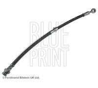 Tubo de freno flexible Eje trasero, derecha ADG053273 BLUE PRINT para HYUNDAI