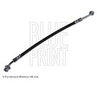 Tubo de freno flexible Eje trasero, derecha ADG053286 BLUE PRINT para HYUNDAI