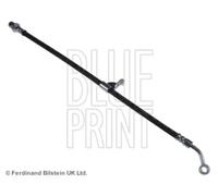 Tubo de freno flexible Eje trasero, derecha ADG053290 BLUE PRINT para OPEL