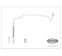 CORTECO 19036851 Latiguillo de freno