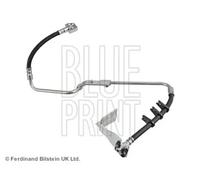 Tubo de freno flexible Eje trasero izquierda ADA105335 BLUE PRINT para CHRYSLER