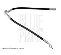 Tubo de freno flexible Eje trasero izquierda ADT353281 BLUE PRINT para TOYOTA
