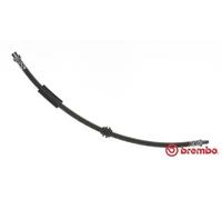 Tubo de freno flexible T 06 038 BREMBO para MINI MINI MINI Roadster MINI Coupé