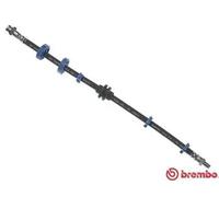 Tubo de freno flexible T 23 015 BREMBO para ALFA ROMEO LANCIA FIAT