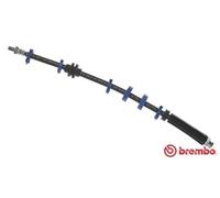 Tubo de freno flexible T 23 112 BREMBO para FIAT LANCIA